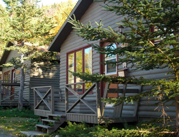 cabin07