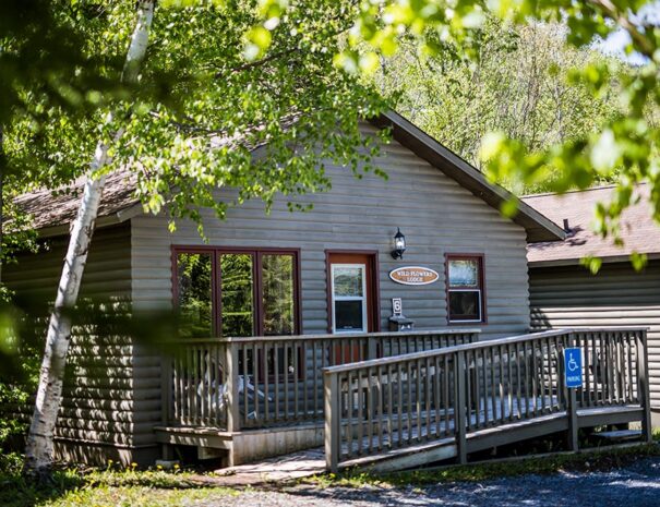 cabin06.jpg