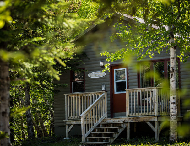 rh_cabin05.jpg